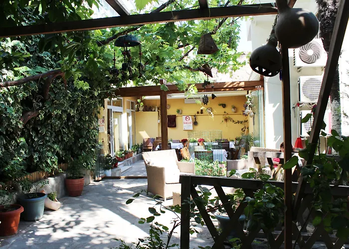 ديفاز فندق 2*